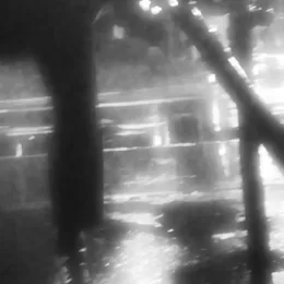 Witches N Dead Trees von Astralproject1on – Cover