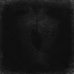Шум небытия von Leprous Vortex Sun – Album Cover