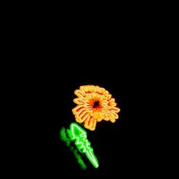 Hi-Flower von ABOUT – Cover