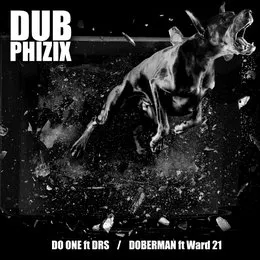 SENKA002 von Dub Phizix – Album Cover
