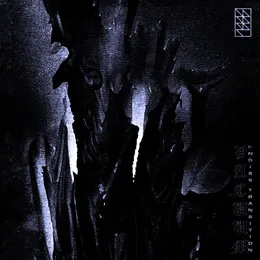 Vacuum γ-Noise Transition von DSKNT – Album Cover