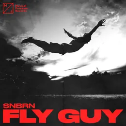 Fly Guy von SNBRN – Cover