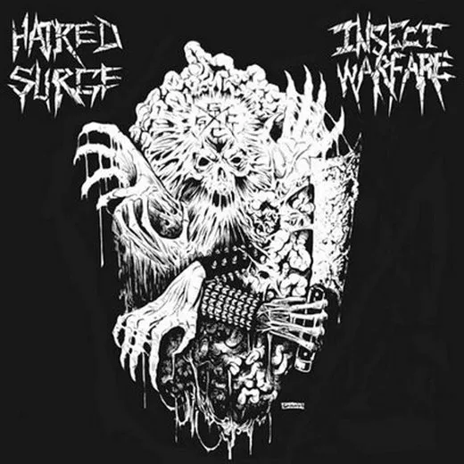 Hatred Surge / Insect Warfare von Insect Warfare – Cover