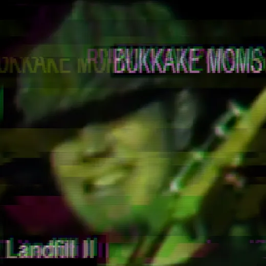 Landfill II