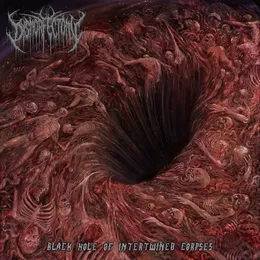 Black Hole of Intertwined Corpses von Dysmorfectomy – Album Cover