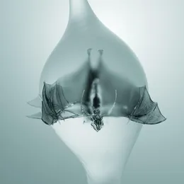 Angel von Unprocessed – Album Cover