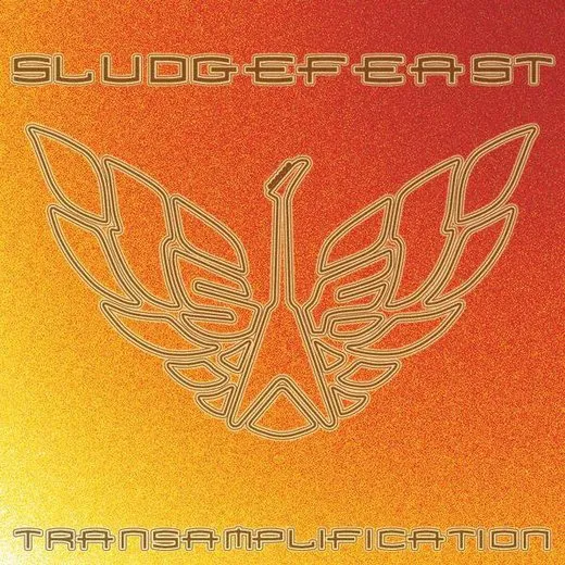 Transamplification