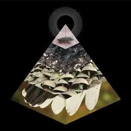 Apophenia von Belus – Album Cover