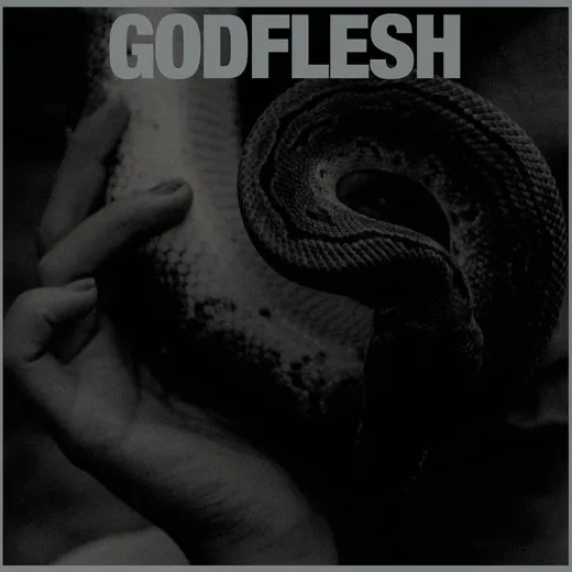 Purge von Godflesh – Album Cover