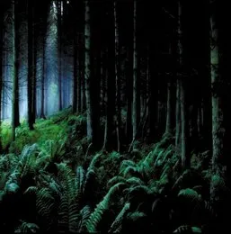 As Leaves Fall von Astarot – Album Cover