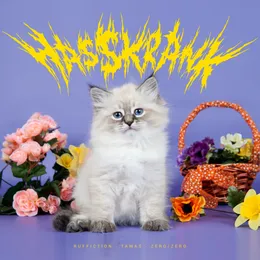 Hasskrank von Ruffiction – Album Cover