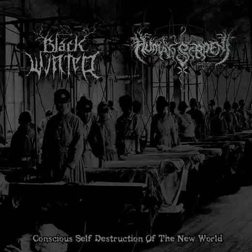 Conscious Self Destruction of the New World