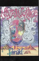 Braid von Nothingface – Cover