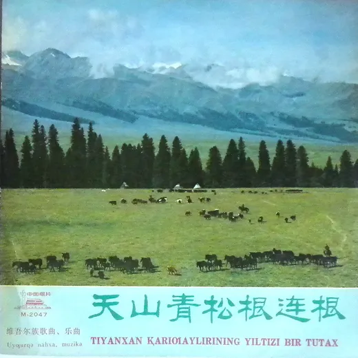 天山青松根连根 Tiyanxan Қariƣaylirining Yiltizi Bir Tutax （维吾尔族歌曲、乐曲）(Uyƣurqə nahxa, muzika)