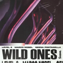 Wild Ones von Level 8 – Cover