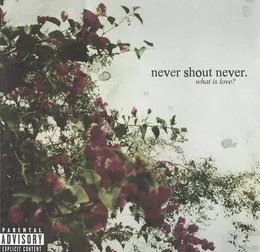 What Is Love? von Never Shout Never – Album Cover