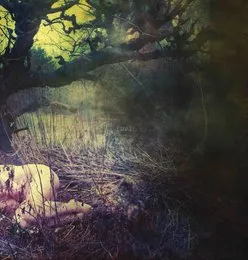 The Apple Never Falls Far From the Tree von Final – Album Cover