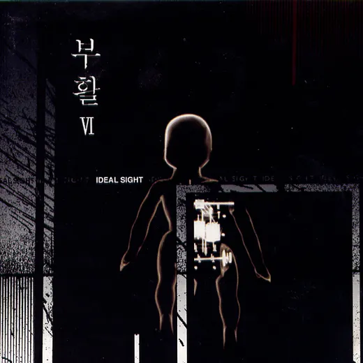 理想 시선
