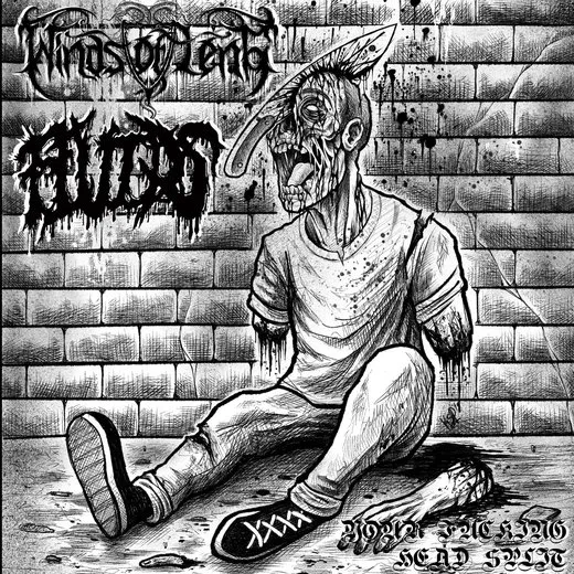 Your Fucking Head Split von Fluids – Album Cover