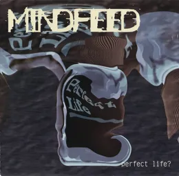 Perfect Life? von Mindfeed – Album Cover