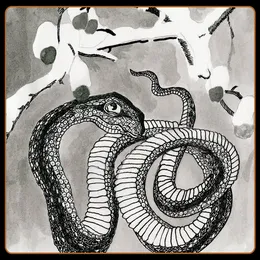 Serpent Umbrella von The Gravel Pit – Album Cover
