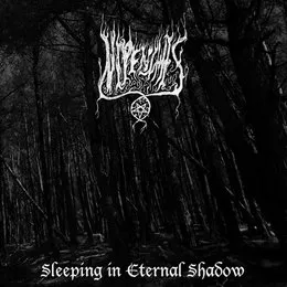 Sleeping in Eternal Shadow von Nipenthis – Cover