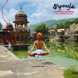 Ineffable Mysteries From Shpongleland von Shpongle – Album Cover