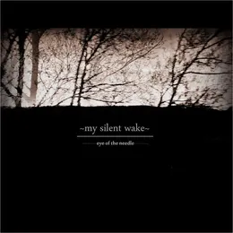 Eye of the Needle von My Silent Wake – Album Cover