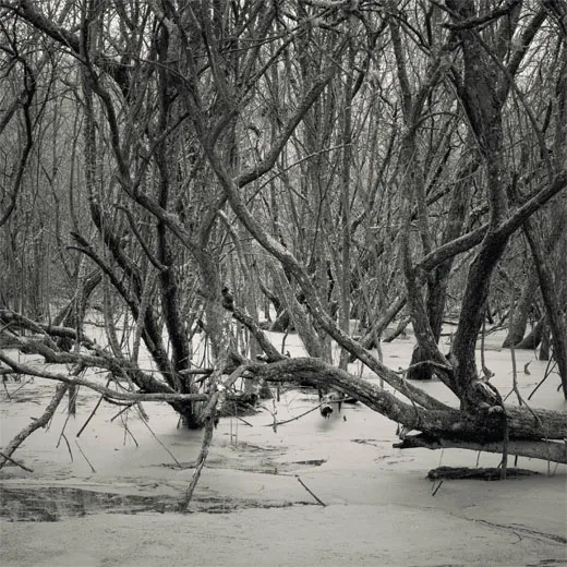 Cold and Distant, Not Loving