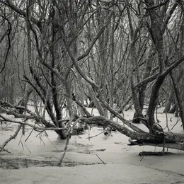 Cold and Distant, Not Loving von Kerouac – Cover