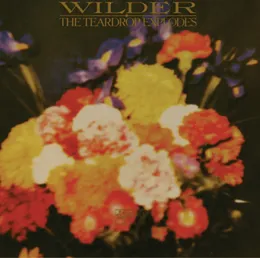Wilder von The Teardrop Explodes – Album Cover