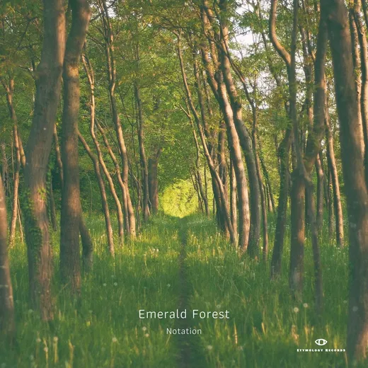 Emerald Forest
