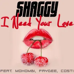 I Need Your Love von Faydee – Cover