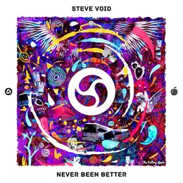 Never Been Better von Steve Void – Cover