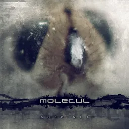 Боли.Net von Molecul – Album Cover