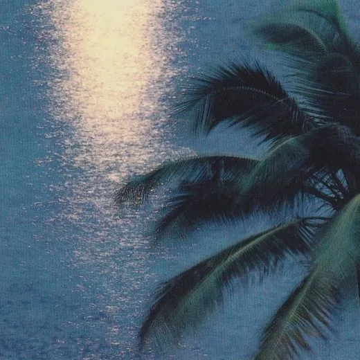 Dawn