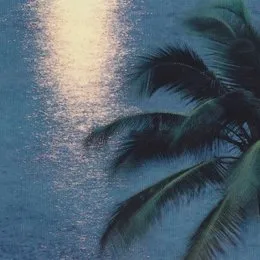 Dawn von Hotel Pools – Album Cover