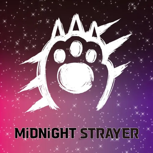 MiDNiGHT STRAYER von C.LiTZ – Cover