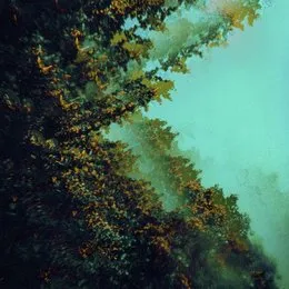 Caterpillars of Creation von Polymoon – Album Cover