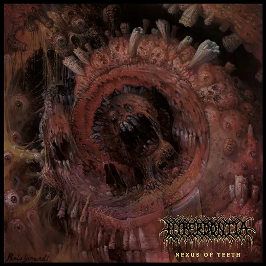 Nexus of Teeth