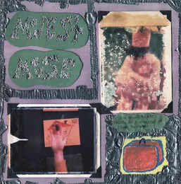 Sad Sappy Sucker von Modest Mouse – Album Cover