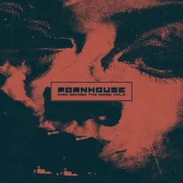 Hide Behind the Noise Vol.2 von Pornhouse – Album Cover