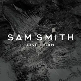 Like I Can von Sam Smith – Cover