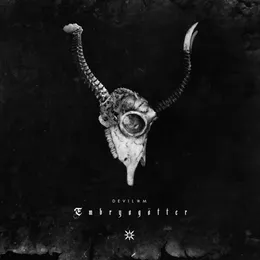 Embryogötter von Devil-M – Album Cover