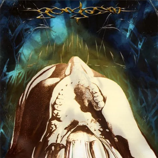 Neurotripsicks von Gorod – Album Cover
