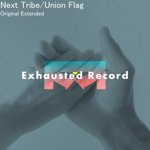 Union Flag (extended)