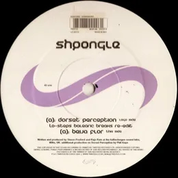 Dorset Perception / Beija Flor von Shpongle – Cover
