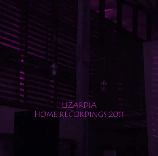 Home Recordings 2011