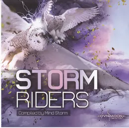 Storm Riders von Mind Storm – Cover