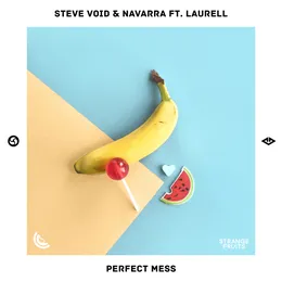 Perfect Mess von Steve Void – Cover
